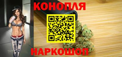крисы Краснодар