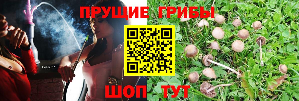 Галлюциногенные грибы MAGIC MUSHROOMS  Вход с VPN  Ипатово 